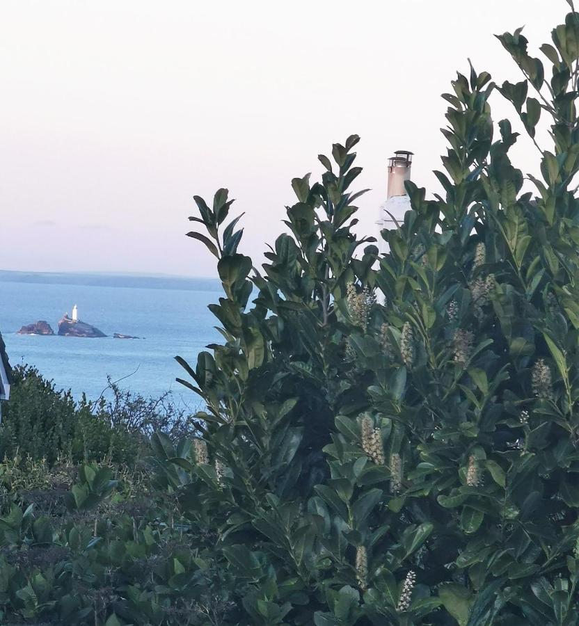Carbis Bay Menhyrヴィラ エクステリア 写真